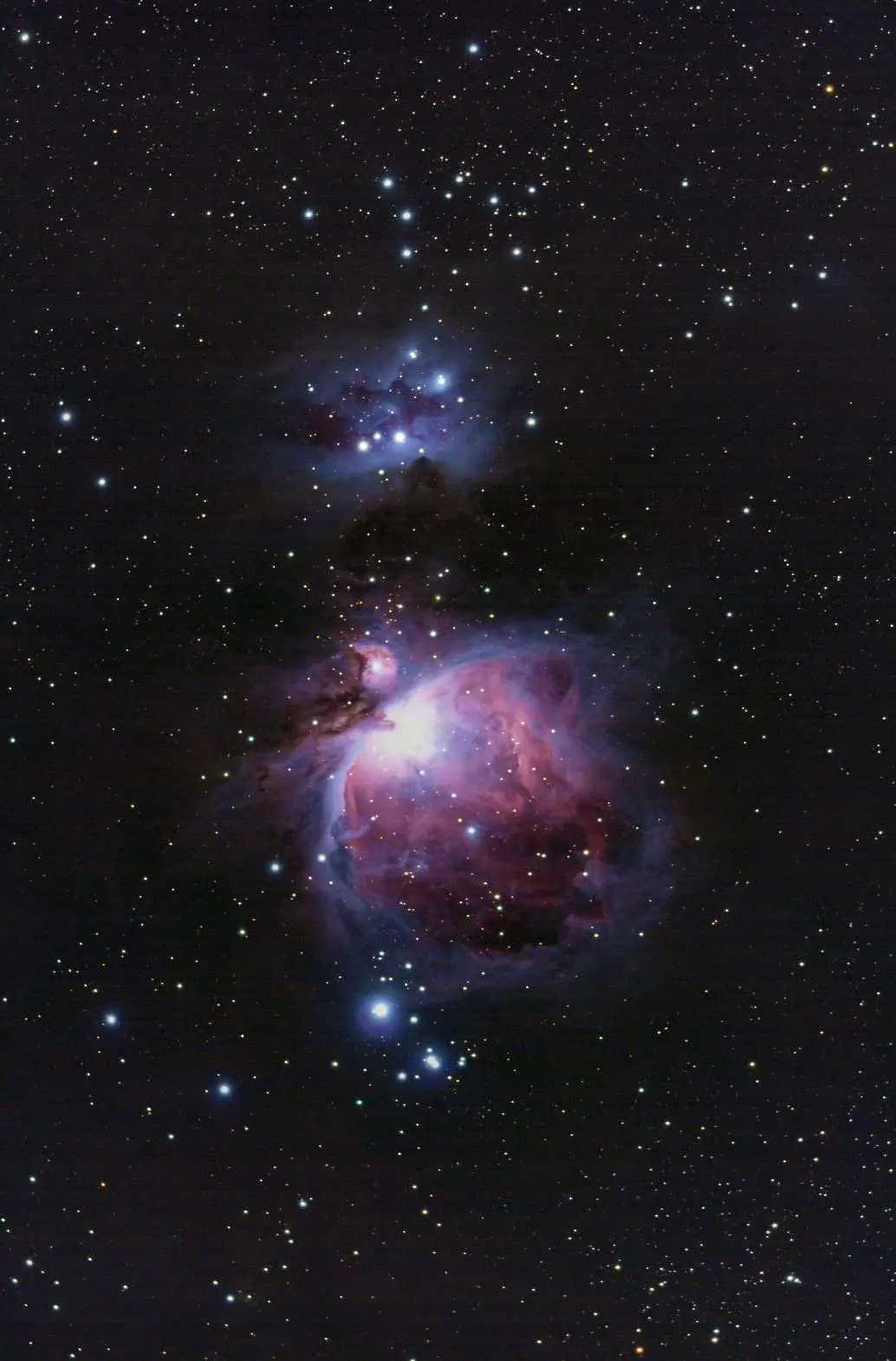 M42 - Orionnebel © Lars Borg