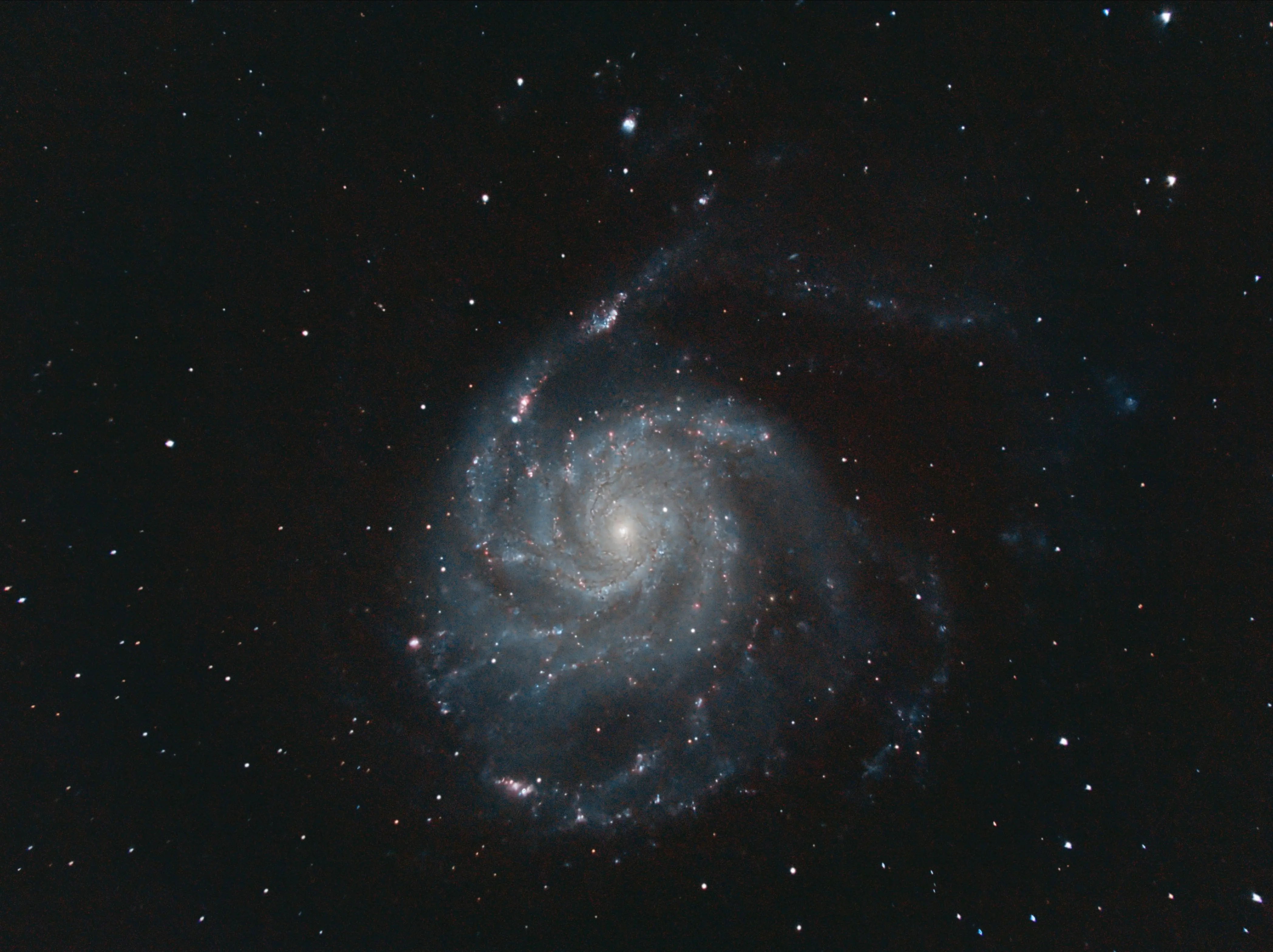 SN 2023 ixf © Michael Miosga